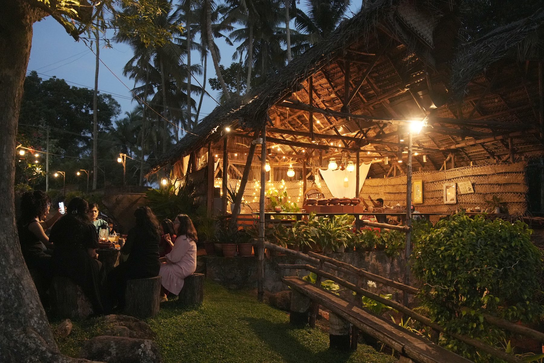 The palm-thatch pavilion and the old tree in the events garden at dusk